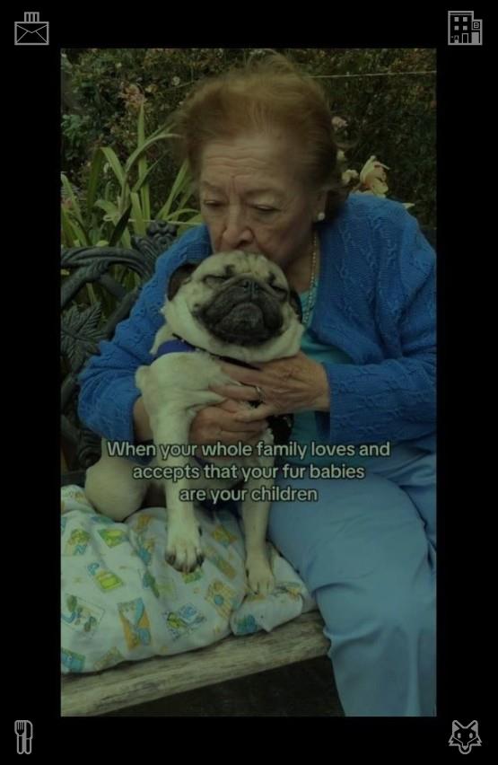 LuanMonteiro92's tweet photo. That evening, as the sun set over the forest, painting the sky in shades of orange and pink, Elara sat on the fallen log where she’d eaten her granola bar on her first visit. She pulled out her camera, flipping through the photos she’d taken o🐒Tennis with girlfriend Tennis, f https://t.co/SgDSBZDc9Q
