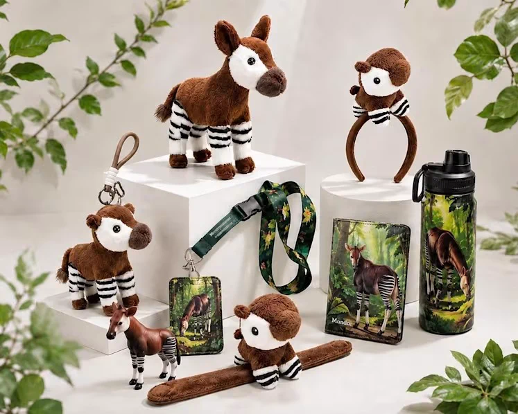 Una cria d'okapi femella ha nascut a Zoorasia; és la terc