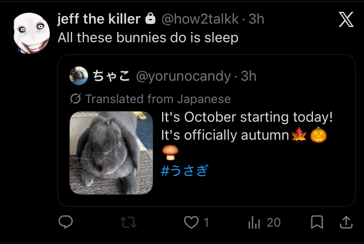 miziindi's tweet photo. big fan of jeff the killer qrting bunnies on my timeline https://t.co/xYfGFKz4Vz