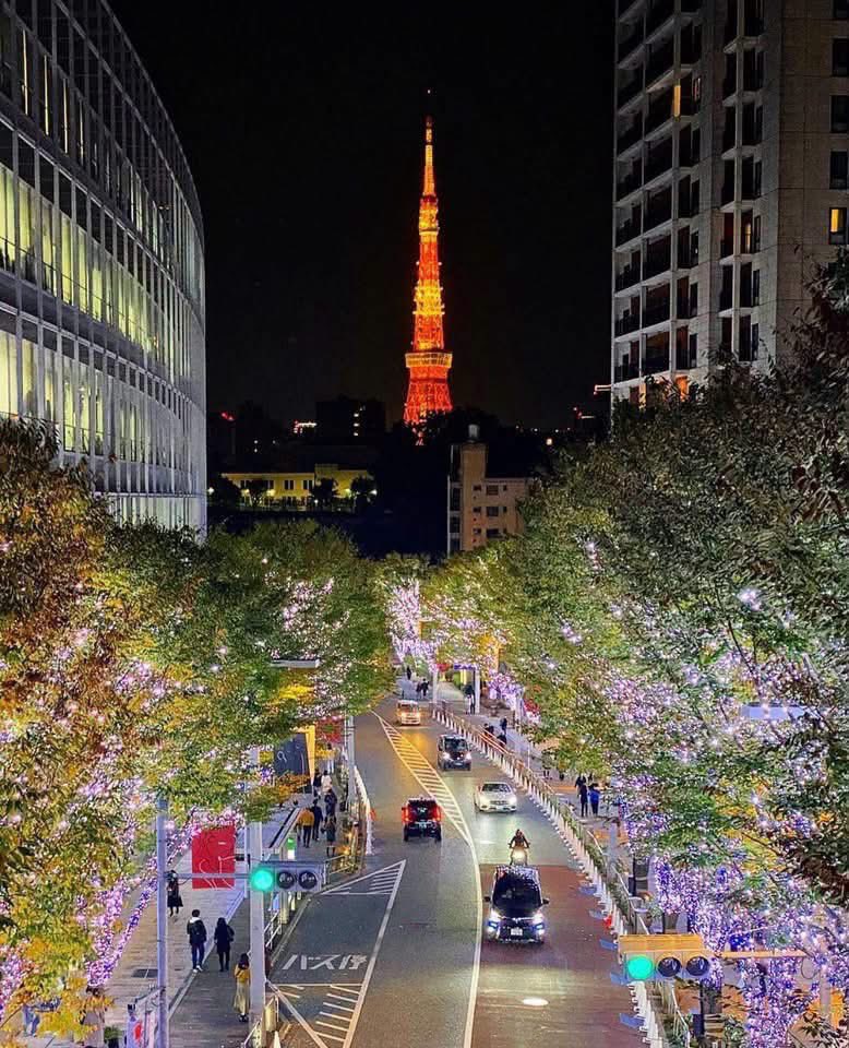 Uiagain's tweet photo. 🎄✨ Roppongi Hills Christmas 2026 ประกาศวันจัดงานแล้ว! 🇯🇵

เป็นเทศกาลที่เราอยากไปญี่ปุ่นมาก อยากไปดูไฟ ไปดูต้นคริสมาสต์ สวยมาก

💡 Illumination: 5 พ.ย. – 25 ธ.ค. 2026
🎄 Christmas Market: 21 พ.ย. – 25 ธ.ค. 2026
Cr Pic : เจแปนจัง
#RoppongiHills #Christmas #เที่ยวญี่ปุ่น #โตเกียว https://t.co/FULkd8Zz8N