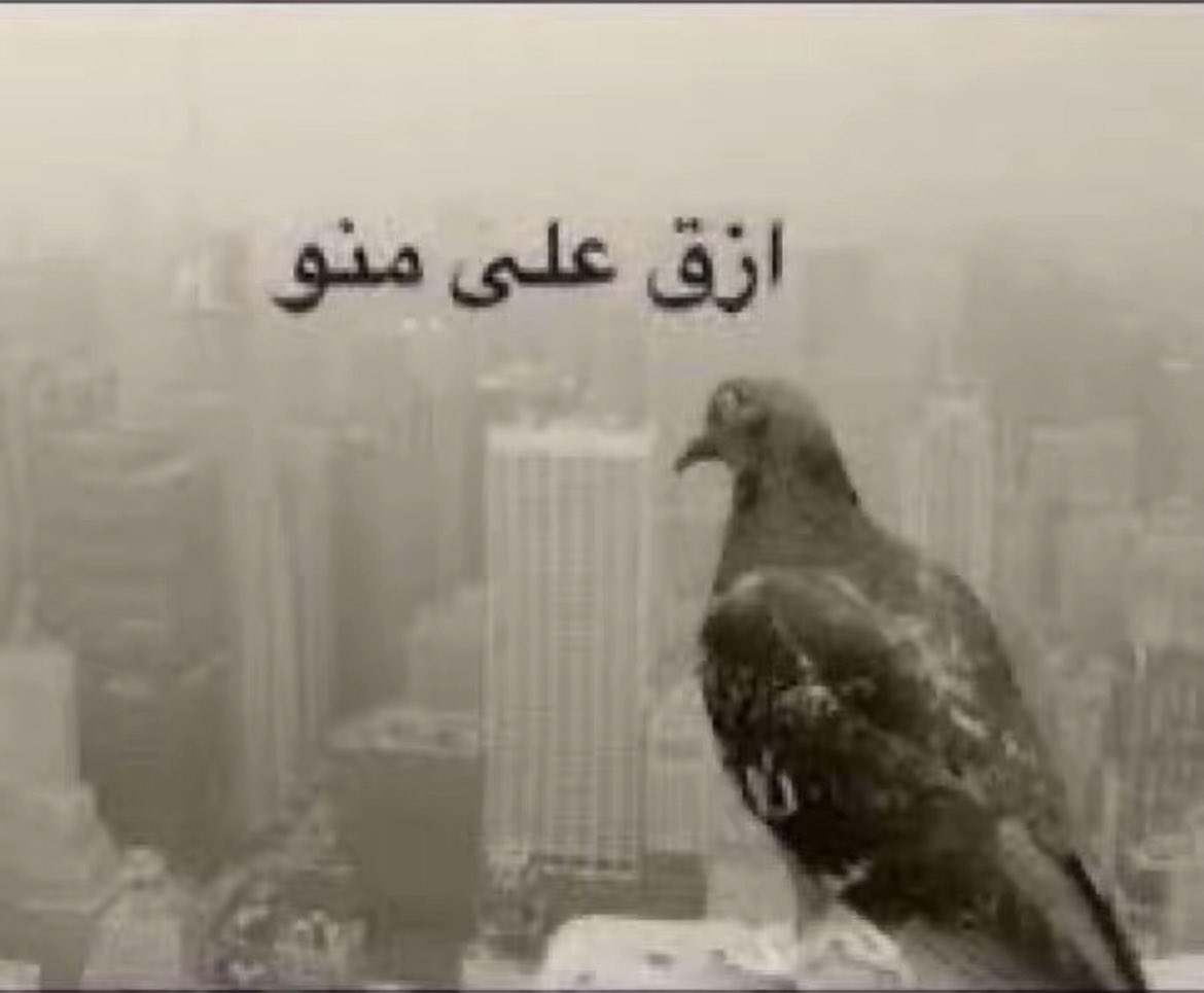 aat0f's tweet photo. خلصت الدوره وماعاد تصير عذر لنفسيتي الزفت https://t.co/KCJnnNFb8T
