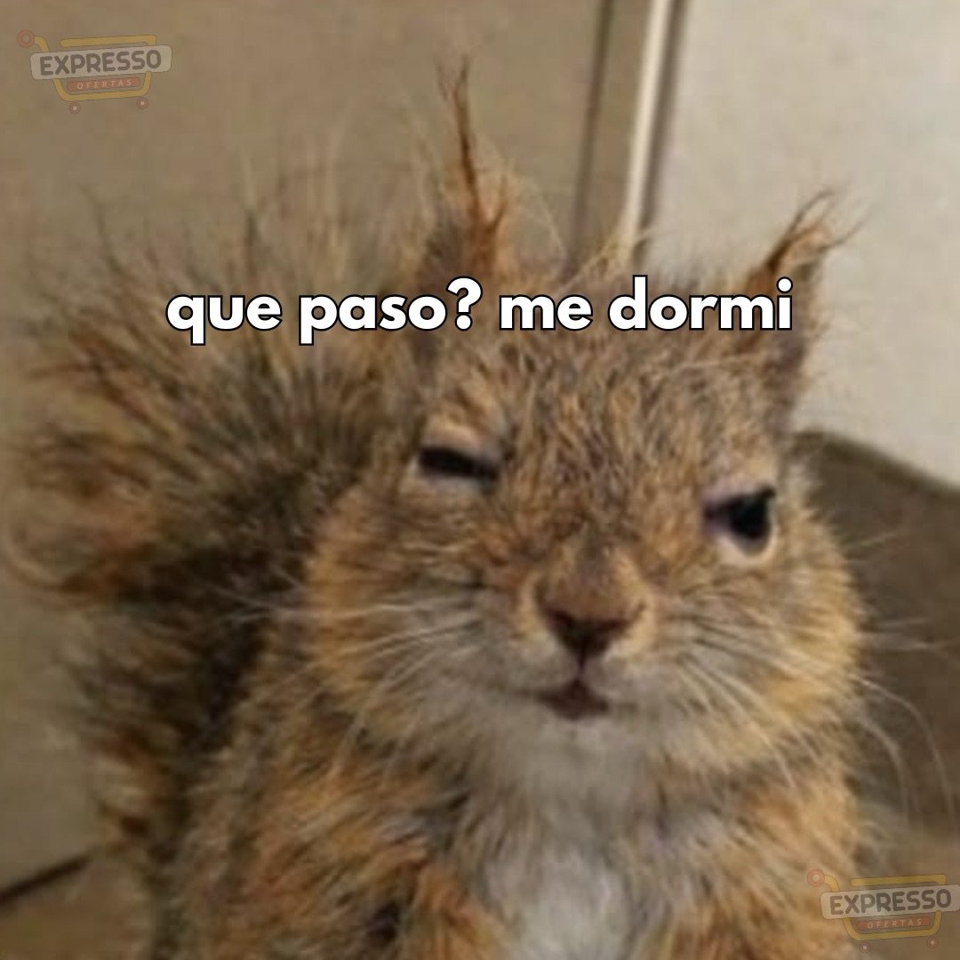 Mapaxitouwu's tweet photo. tampoco fui al trabajo. https://t.co/PUxXGTAMo2