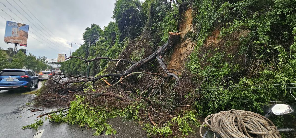 amilcarmontejo's tweet photo. Derrumbe.

📍Mixco, kilómetro 16 ruta Interamericana hacia el occidente.

🔵Se registró un derrumbe con caída de árbol, se mantiene obstrucción un carril y medio.

NOS AFECTA EN CALZADA ROOSEVELT ZONA 7

#PoliciaMT #TraficoGT #TransitoGT #OrdenYservicio https://t.co/T7QZmR1dyo