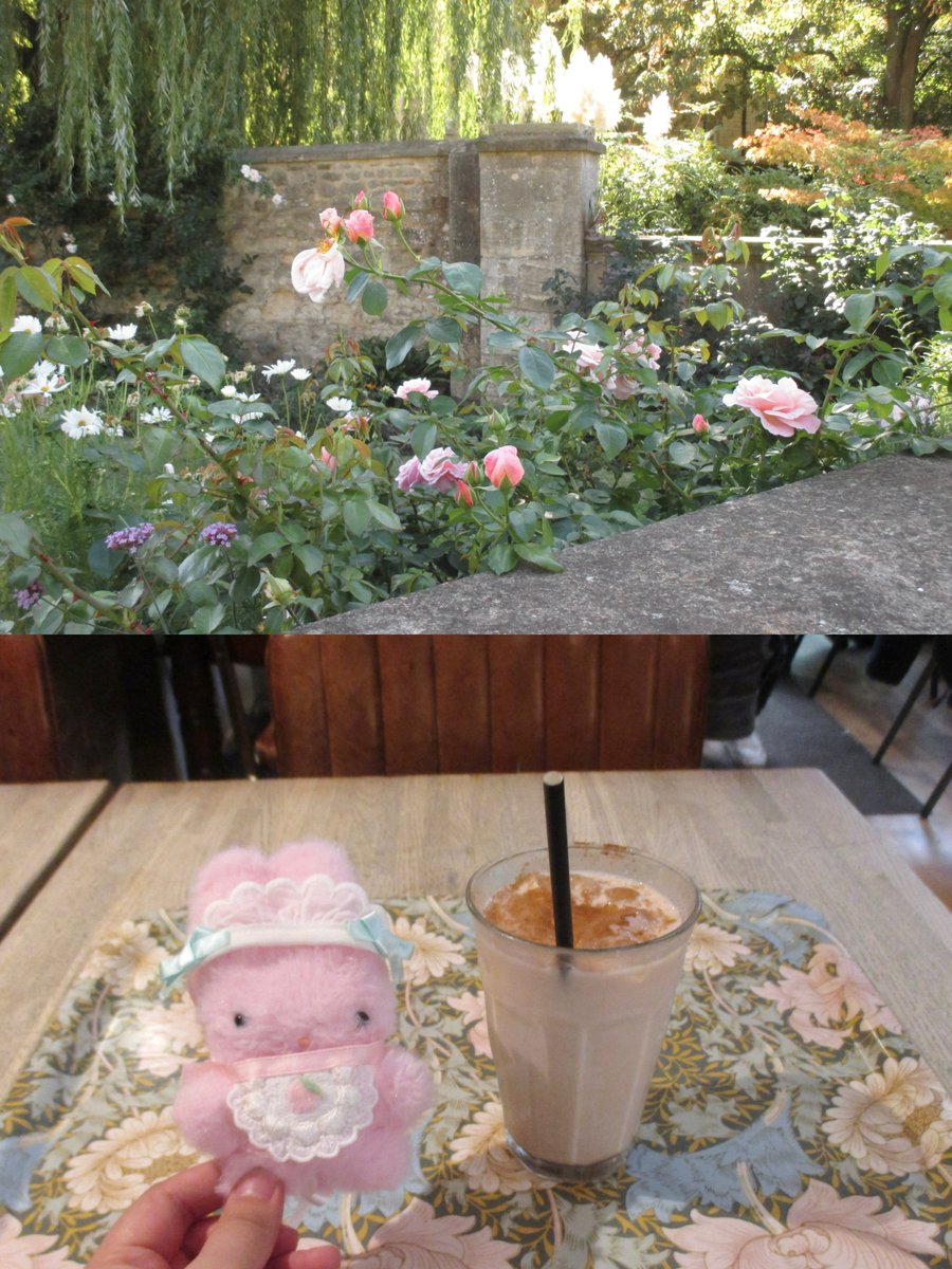creamidori's tweet photo. イギリス生活だいぶ落ち着いてきたദ്ദി https://t.co/r3SeWxCj9z
