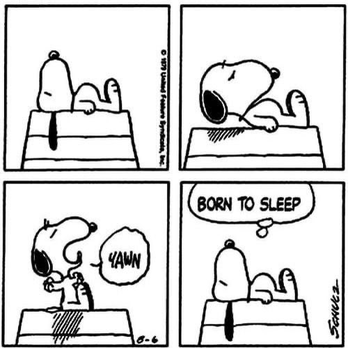 daiIy_snoopy's tweet photo. snoopy comic of the day https://t.co/Dz1V8ei2eU