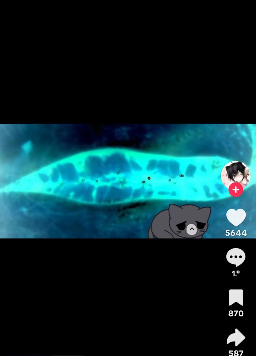 lostshhel's tweet photo. Qué carajo https://t.co/pKgf0bZTxl