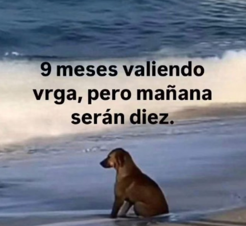 oscabw's tweet photo. y si jaja https://t.co/akXA8SSHZI
