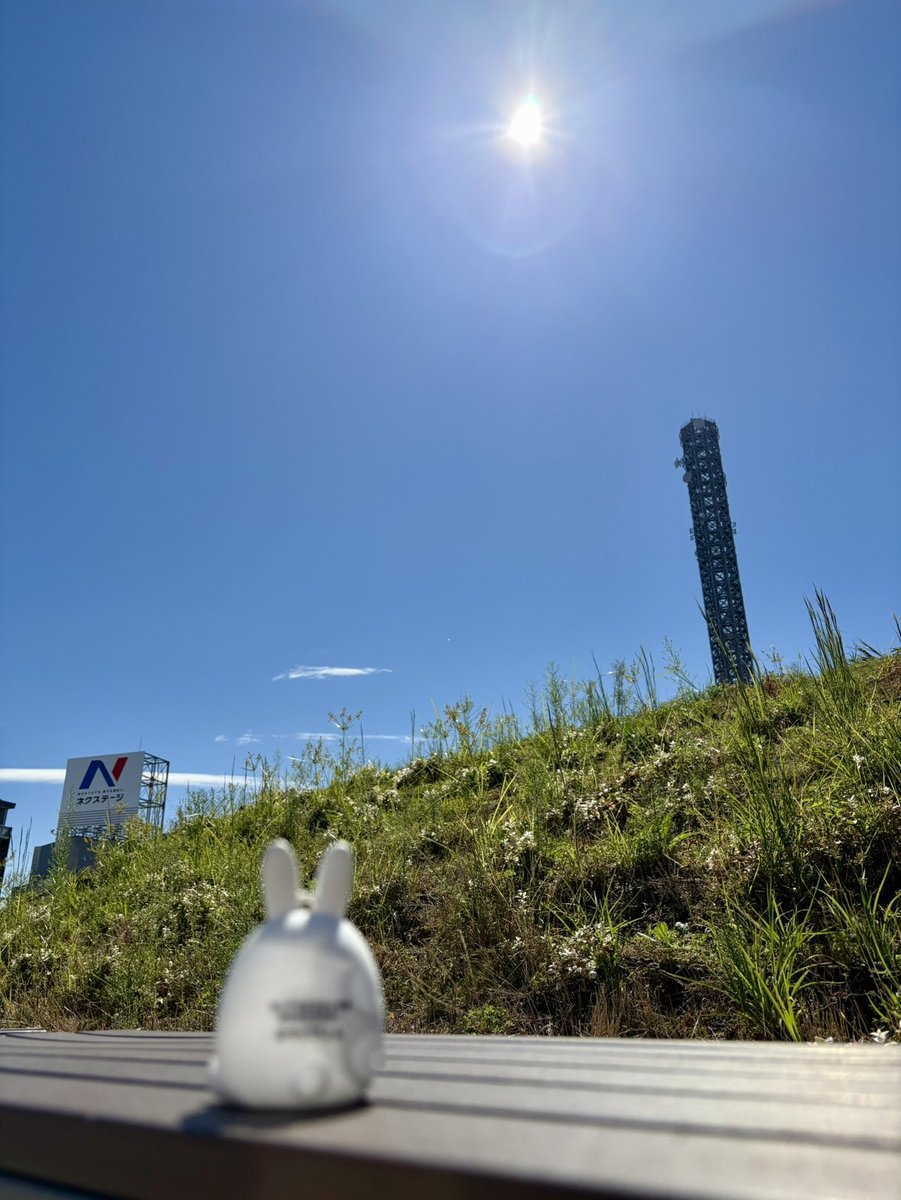 hmc_mobipyon's tweet photo. モビぴょん日記
今日みたいな天気がずっと続けばいいのに～

10月2日（金）天気：晴れ 気温：25℃  
#モビぴょん 
#HONDA 
#企業公式が毎朝地元の天気を言い合う 

#ゆるバース 参戦中
▼投票はこちら 
https://t.co/vJJe0QhHM1 https://t.co/5qqftjHwFY