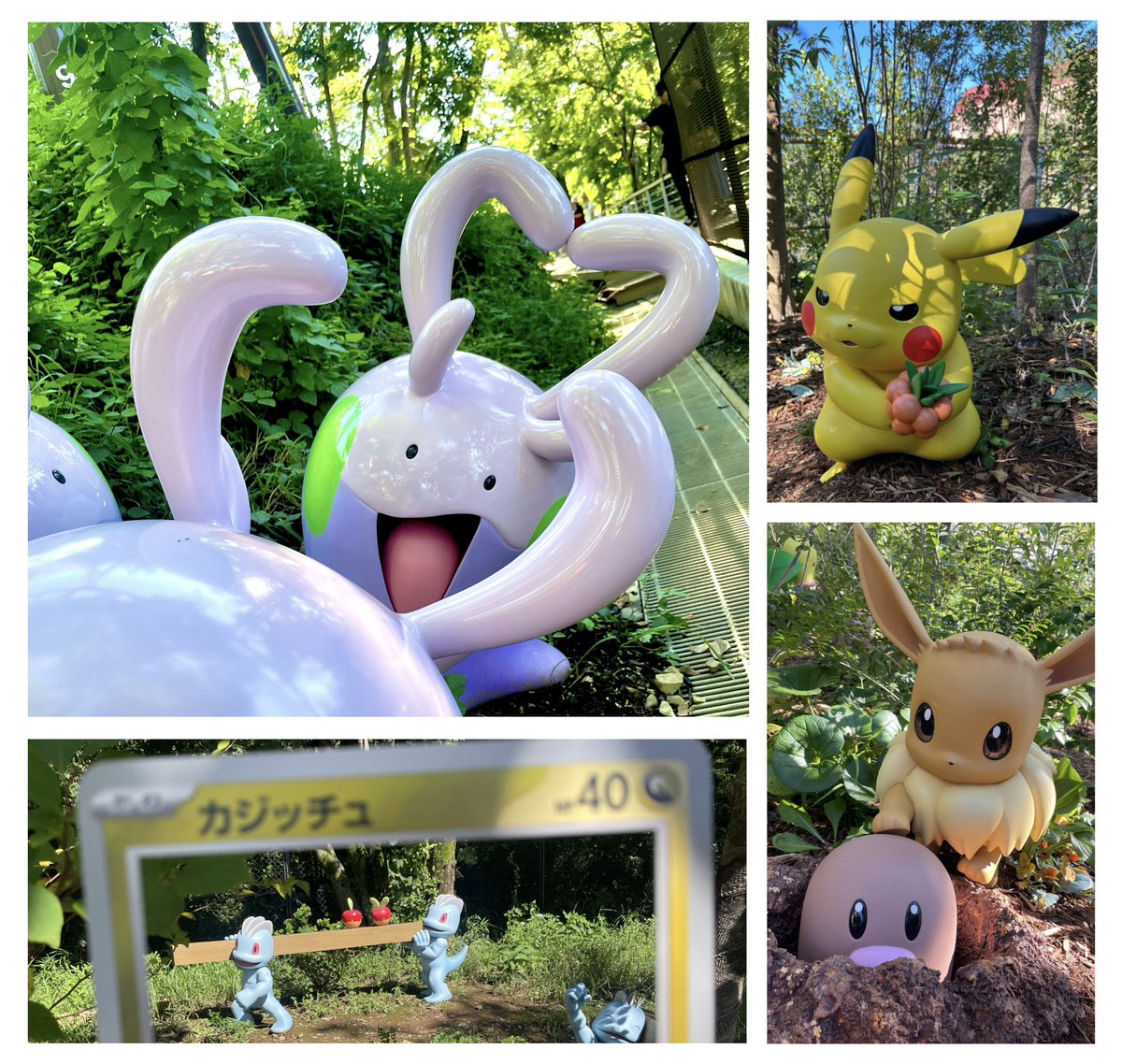ee836f's tweet photo. おはようございます🐼🔖
昨日はポケパークに行ってきました!
とってもポケモンが可愛くて大満足です☺️
(しれっとポケモン垢も作りました👀)
そして本日は…【アワステ出演】
どきどき!ぜひ聞きに来てね~✨️
<配信予定>AWA
🎙21:00- #MAYte コラボ配信
🍊22:00- アワステ出演
🌌1:00- 寝落ち枠 https://t.co/i0fNZQrpHM