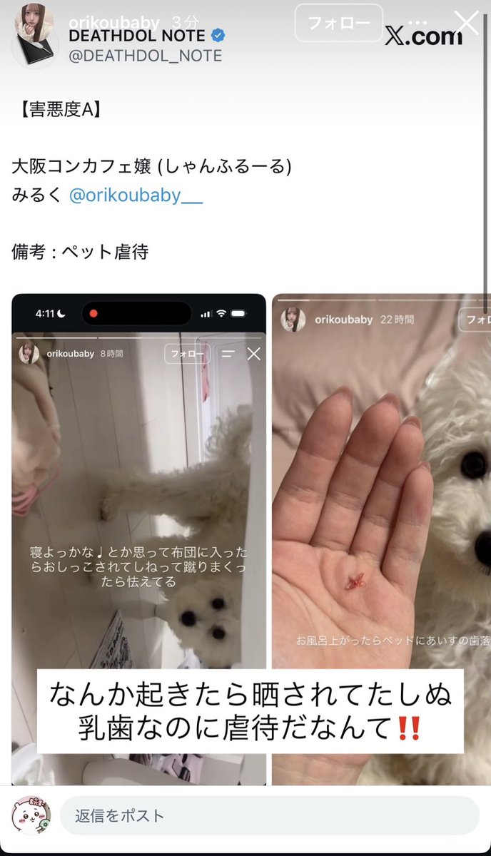 Yukg176183's tweet photo. @DEATHDOL_NOTE @orikoubaby__ 蹴ったことがすでにアウトやのにどこまでもズレてるわ https://t.co/amrz5niPOG