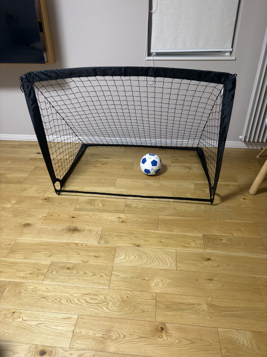 warubouuu's tweet photo. 最近離婚してサッカーゴールとボール買いました🏀 https://t.co/VXbfjW5HF0