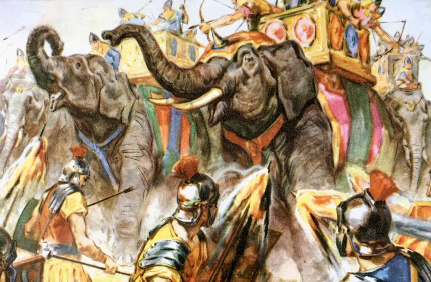 KaoruSF_'s tweet photo. @InvictvsHQ it's no wonder ancient civilizations glorified war when they had these https://t.co/FZqmlCWdB7
