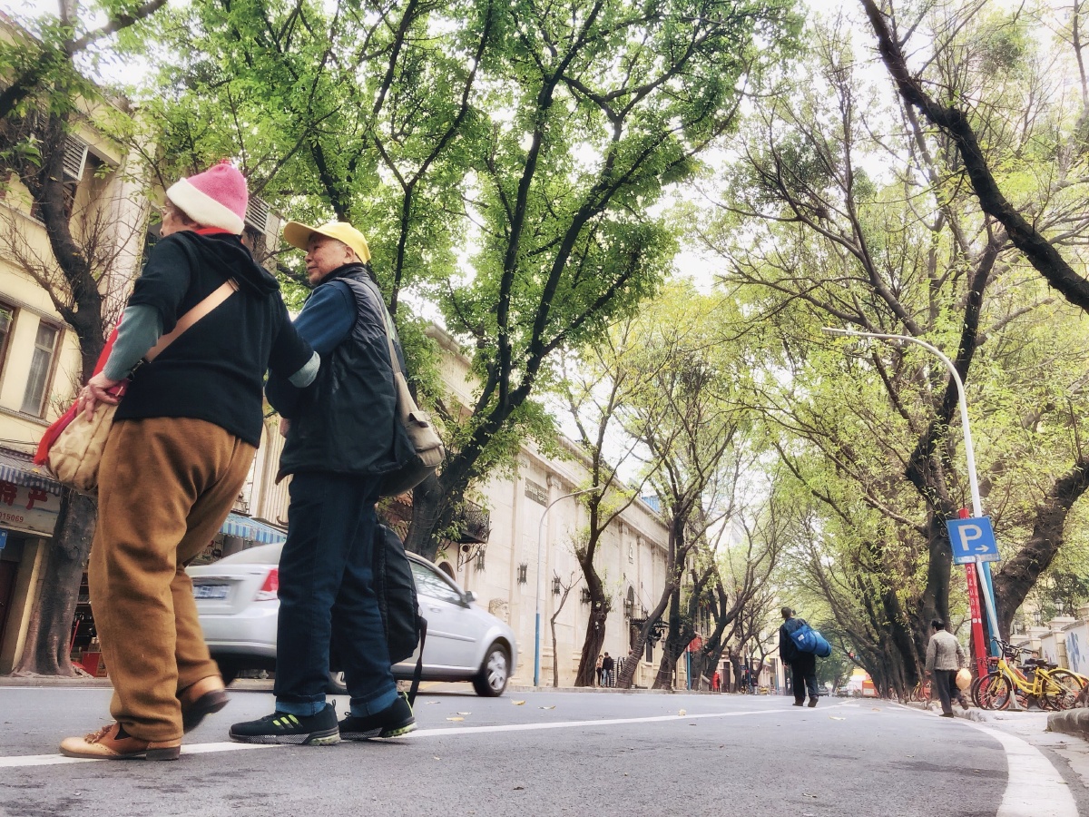 vhj0505's tweet photo. What a wonderful day to walk on the road with Pulei, Lulu, and Zhang! https://t.co/03DDh9ispL