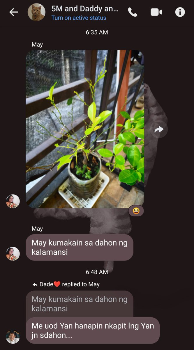 Merinellaaa's tweet photo. Them being serious about figuring out who ate the kalamansi leaves 😭

Meanwhile, me being a lil sht: *sends a GIF of a yellow larva 🤣*

HAHAHAHAHA https://t.co/RYcQJX9GuI