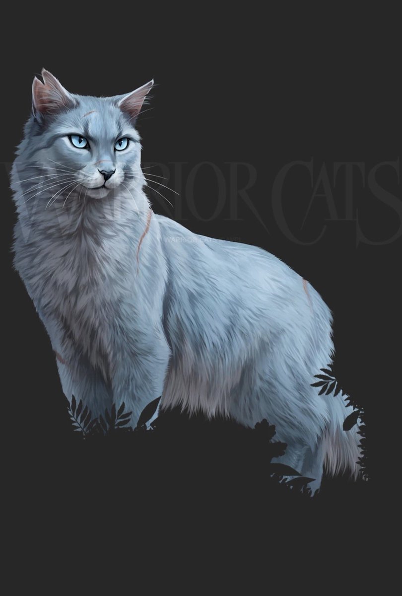 warriorswiki's tweet photo. Check out the full artwork of Bluestar by @johisart! https://t.co/tg1Xuq8hFE