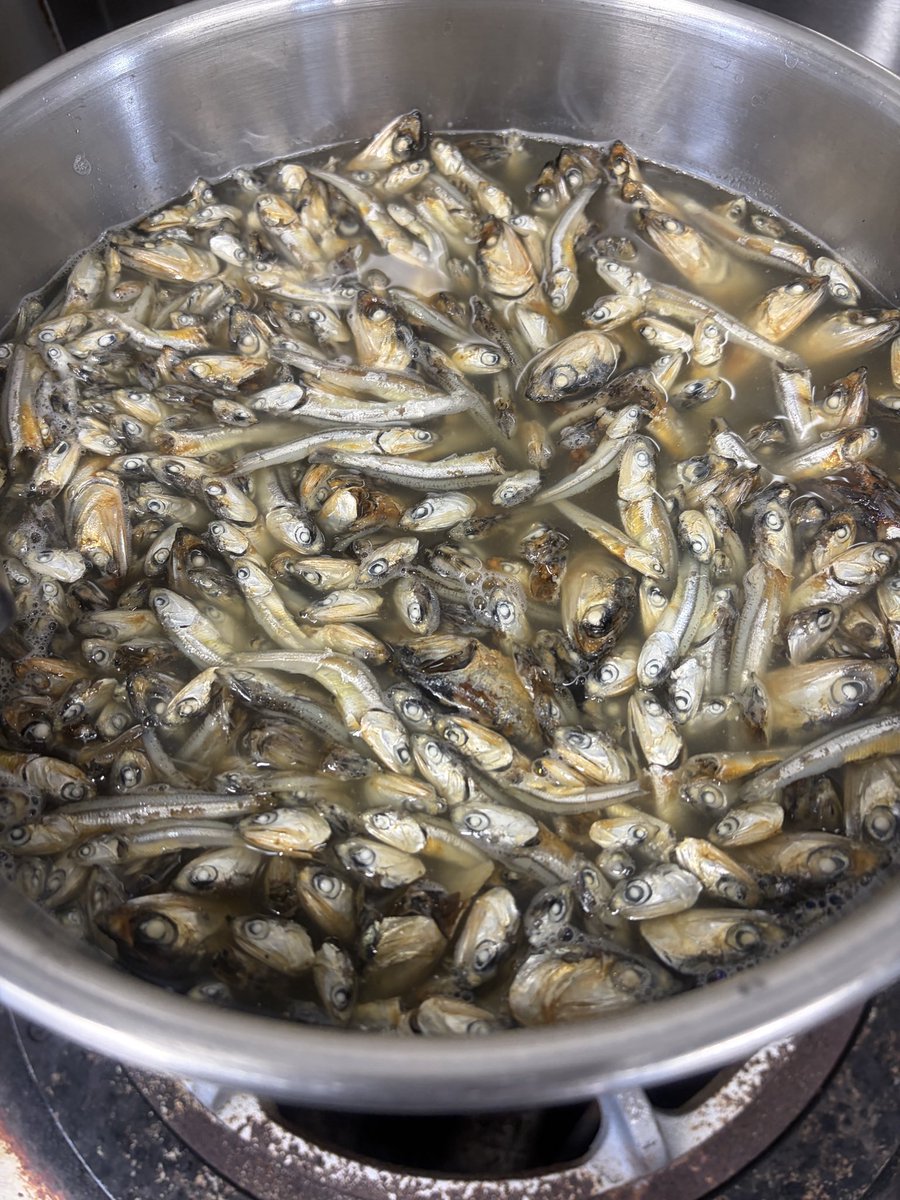 wakuya_itto's tweet photo. サバハール・ヘイルございます。

淡麗煮干しらーめん
かなり自分の好みな感じに仕上中です。
限定麺③のボタンをポチッと。

辛つけ麺もキャリーオーバ中です。
10食くらいあります笑

限定麺①
クラシック中華そば

限定麺②
貝出汁×和出汁らーめん

10:30オープンです。 https://t.co/FgquZydA4g