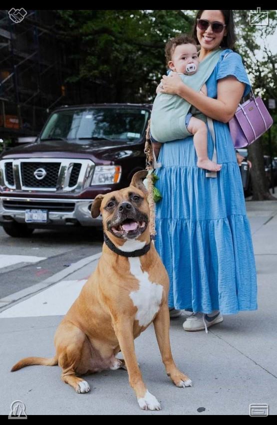 Kadidas_spike's tweet photo. Lily looked at Little Buddy, who was curled up beside Lila, his head resting on her lap, and she smiled, knowing that Buddy was there, in the warmth of the sun, in the laughter of her family, in the love of her new best friend.��The dog barks at the neighbor https://t.co/1DLfUhJgwX
