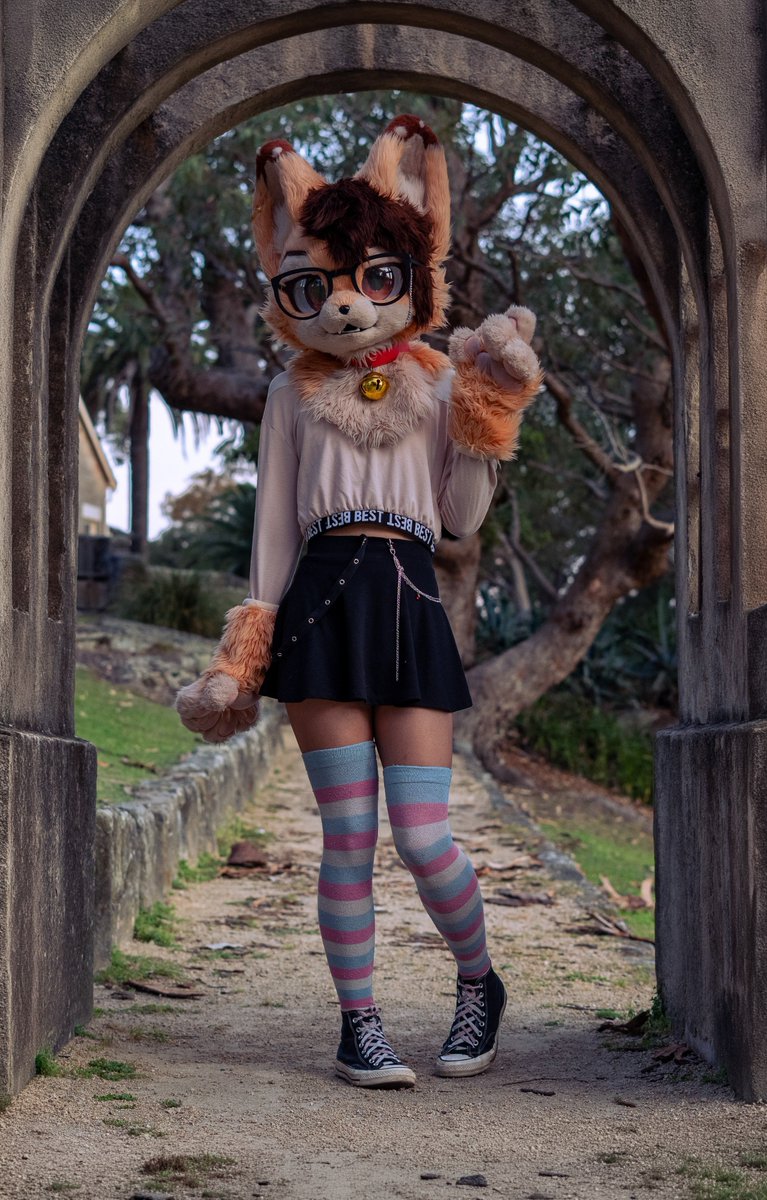 KyleThaFemboy's tweet photo. 🧡🤍
#furry #fursuit #fursuiter #Femboy https://t.co/EMowIpFeeF