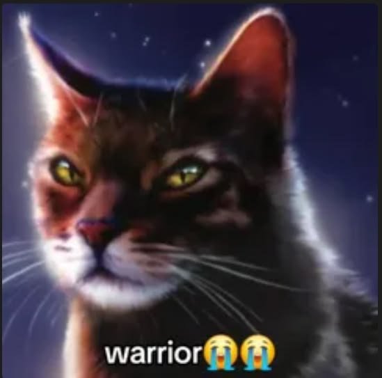 chwcomolly's tweet photo. @dogcat77n https://t.co/dr2pg6TWPP