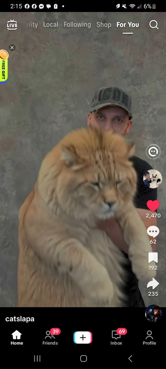 _J_C_JC's tweet photo. @CherokeeNation ....found em' da big cats. https://t.co/ErIbhoFaUK