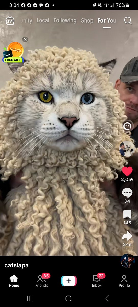 _J_C_JC's tweet photo. @CherokeeNation ....found em' da big cats. https://t.co/ErIbhoFaUK