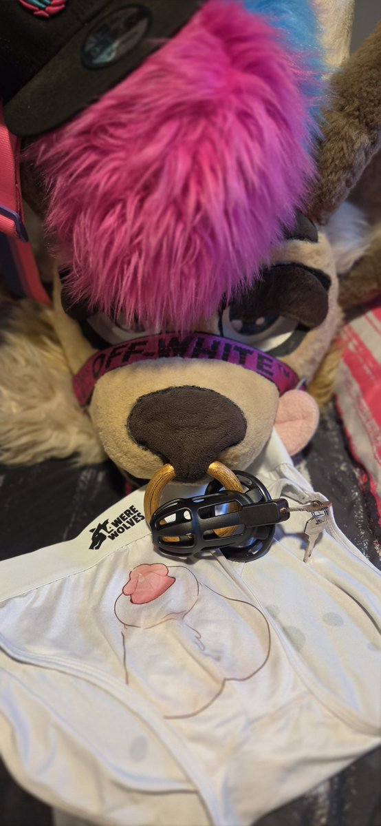 OnlyYips's tweet photo. Happy #locktober  let's see how long i can last. 🥵 Unless said otherwise by the bf,
This will be accumulated through the month of october. 

Each retweet adds 1 day 
Each like adds 1 hour
Each new follower adds 1 week

Current follower count 1,056 https://t.co/nHjO05DWEr