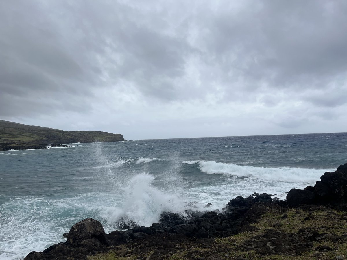 le1e2eo's tweet photo. ビーチとモアイ像
あいにくの天気で、普通に寒すぎて海水浴する気になれず、、、
この寒さと風の強さで海入るの強すぎる https://t.co/kFIP2Ehkcb