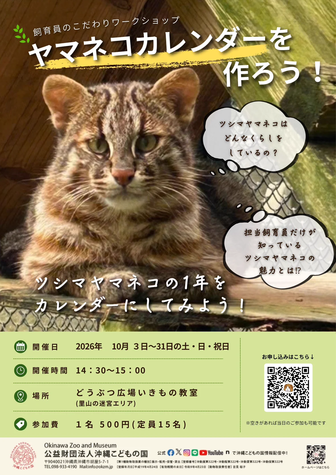沖縄こどもの国 Okinawa Zoo & Museum(公式) on X: 