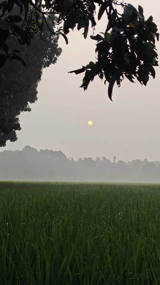 0xZyven's tweet photo. Good morning, my people! Make this misty morning bring unadulterated peace and clarity to everybody. As the cool morning breeze dey blow, I pray make your day smoothly soft and full of joy. Make we shine today! https://t.co/G727zDpS4v