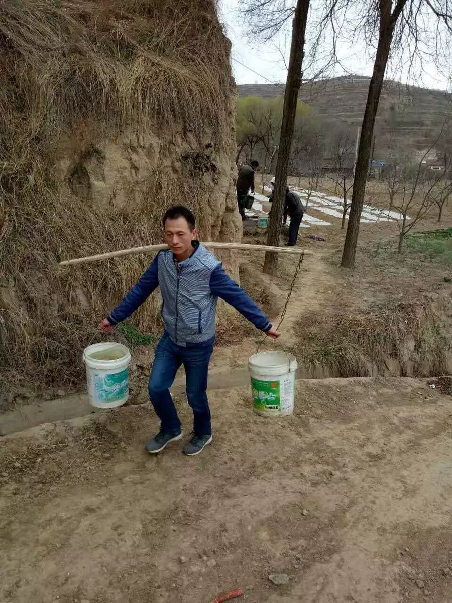 brixr0b696's tweet photo. I tried to lift the big urn, but it was too heavy! My friend stood by the wall, smiling and advising me to ask for help.， https://t.co/UIRoeEdVJ9