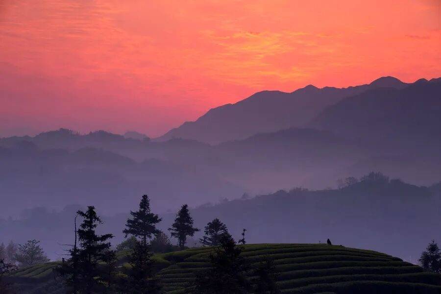 l45h4546's tweet photo. Amid time’s quiet flow, we can’t rush to estimate life’s soft moments—small regrets hold quiet power to stir our hearts. https://t.co/eZJcESqxpn