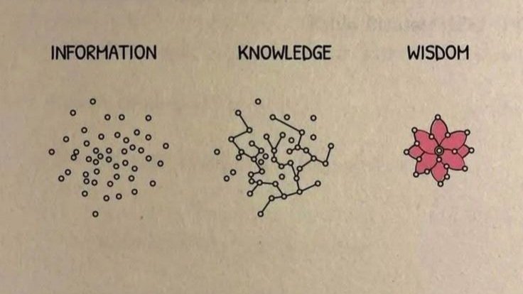 shipranotes's tweet photo. Information is noise. Knowledge is connection. Wisdom is turning the chaos into something beautiful. https://t.co/avLPFLQiZD