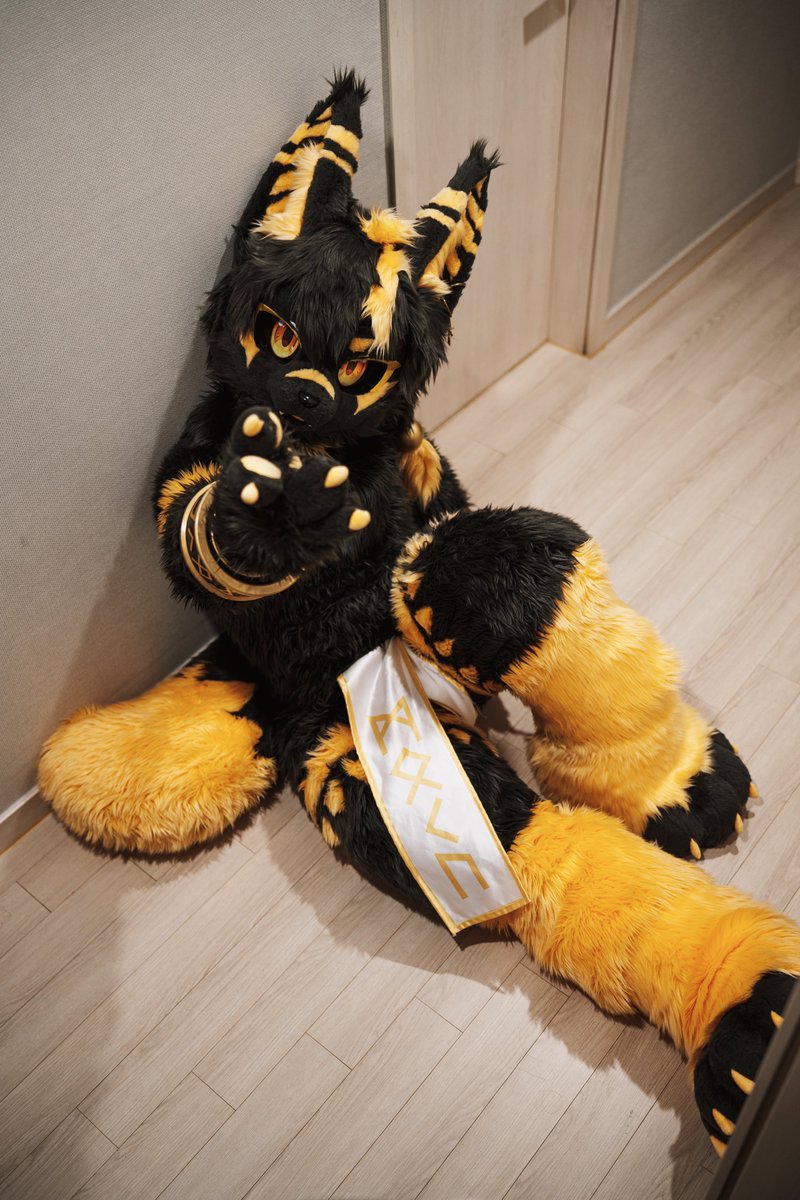 Rune_fur tweet picture