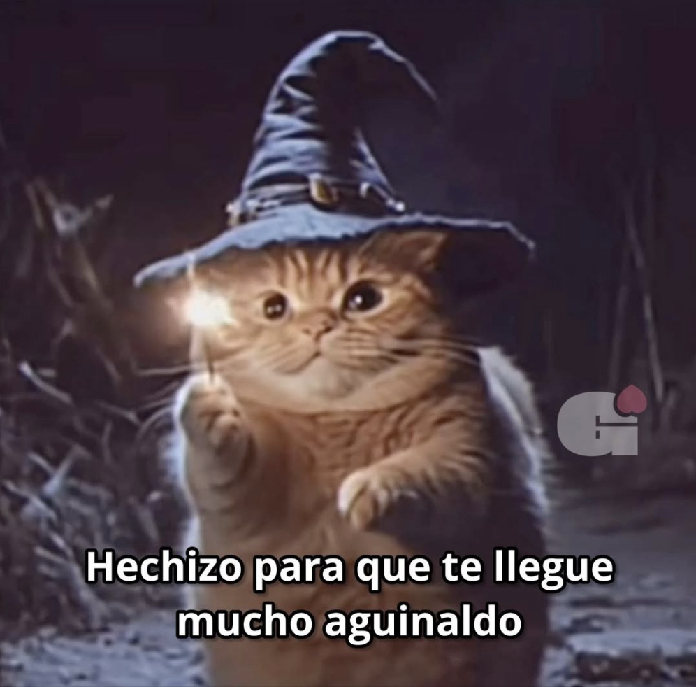 Guarromantico_'s tweet photo. Hechizo 🪄 https://t.co/h6fKPDOLws