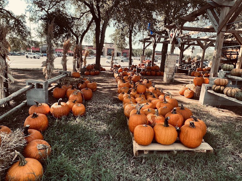 tx_hector967's tweet photo. Texas Home &amp; Garden Fort Worth Texas #halloween https://t.co/CMg5kFJ7dw