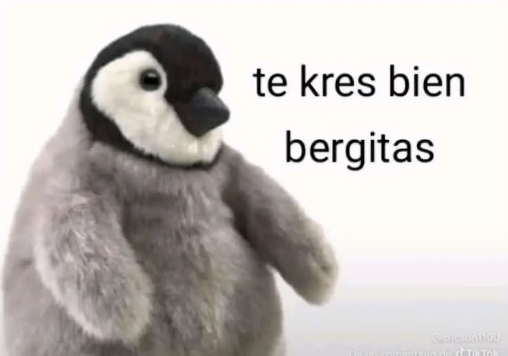 Zharythmt's tweet photo. Belial pinche bieja nalgas miadas pasame la foto que te mande a hacer https://t.co/zcOPLsgeK4