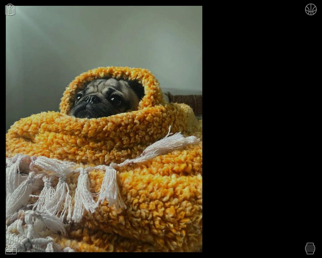 cctvdubai1's tweet photo. “I could stay here forever,” she said, her voice soft, almost a whisper. “Just you, me, the sun, and this perfect picnic. No worries, no stress, just peace.”😟Small blanket on the bed https://t.co/OwiAImE2Xt