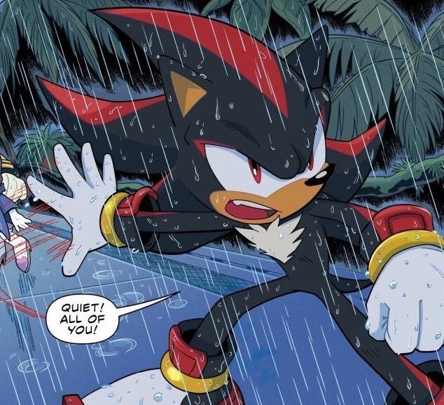 nightykoneko's tweet photo. remember when in the comics for a while shadow was just constantly wet??
i do 😌 https://t.co/JOKDiZB6dc