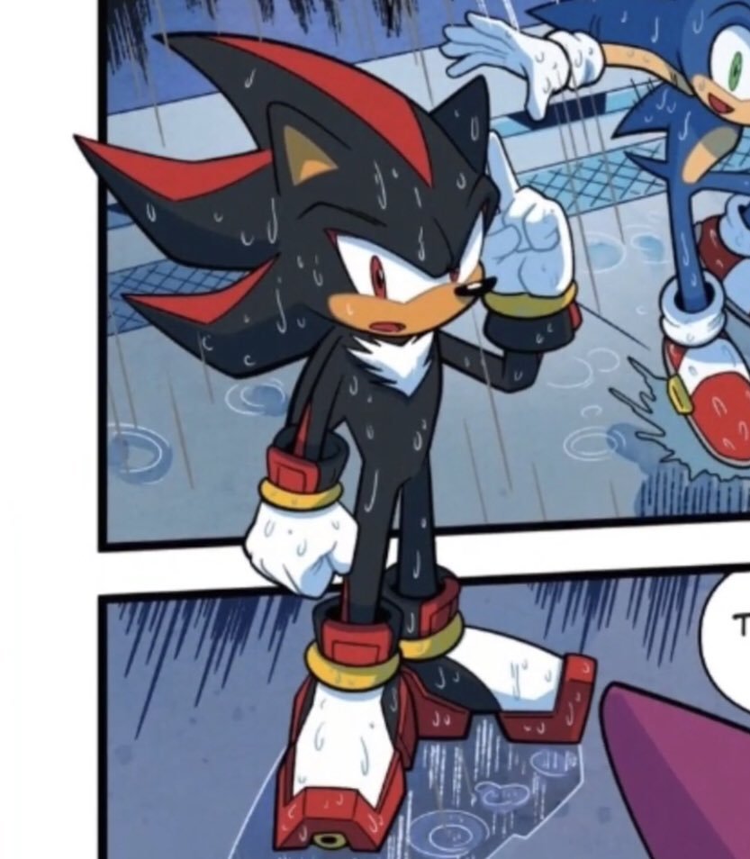 nightykoneko's tweet photo. remember when in the comics for a while shadow was just constantly wet??
i do 😌 https://t.co/JOKDiZB6dc