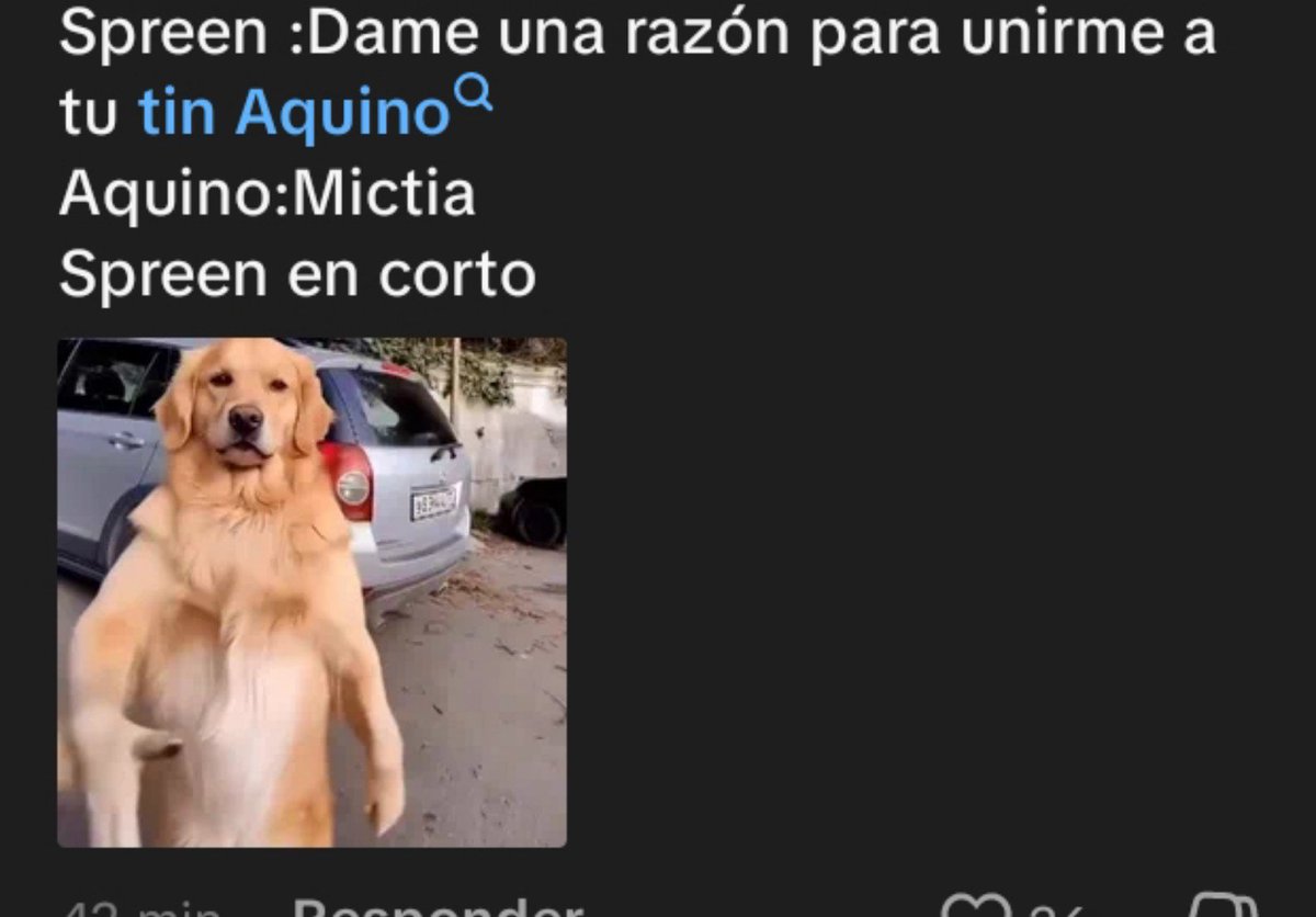 Itachipak47's tweet photo. Este comentario de tik tok me mato de risa jajaja mis papis @SpreenDMC @Mictia00 que reviva el chippp por favoooor jajaj https://t.co/ahVakoSI0T