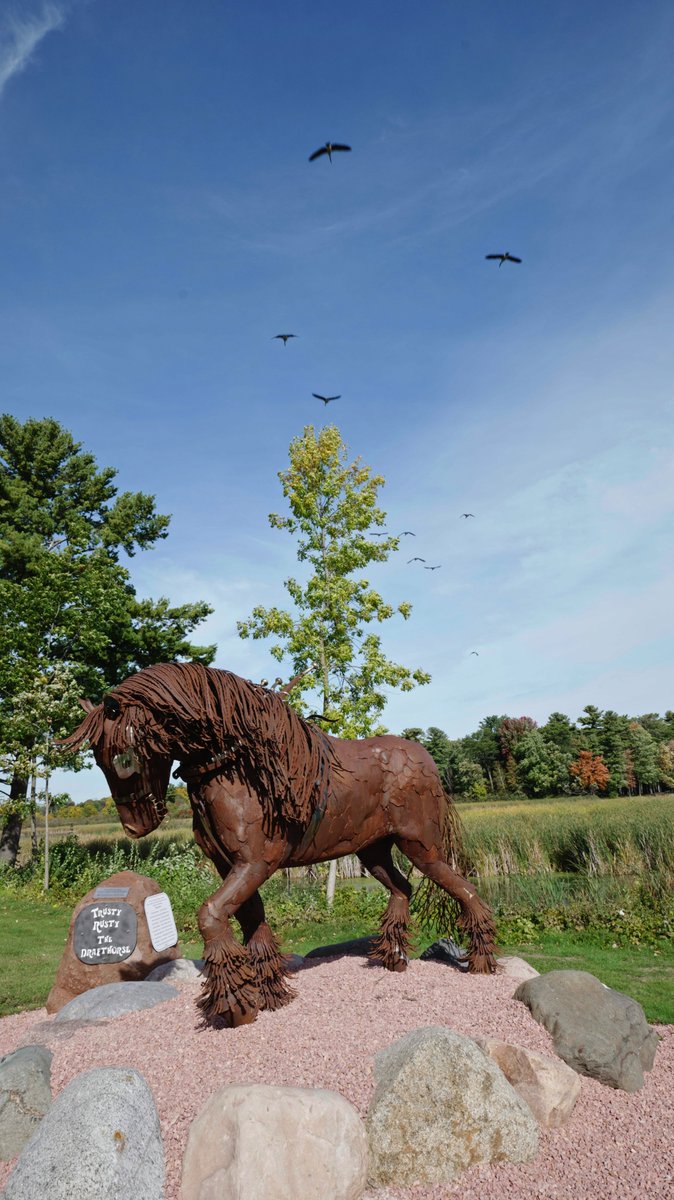 inTECHsity's tweet photo. Just riding the electric scooter in a new town get to the end of the lake shore area, find these amazing art installations! I think the horse is my favorite. Crazy what you can find when you go looking... https://t.co/Oy1WCuNg5O