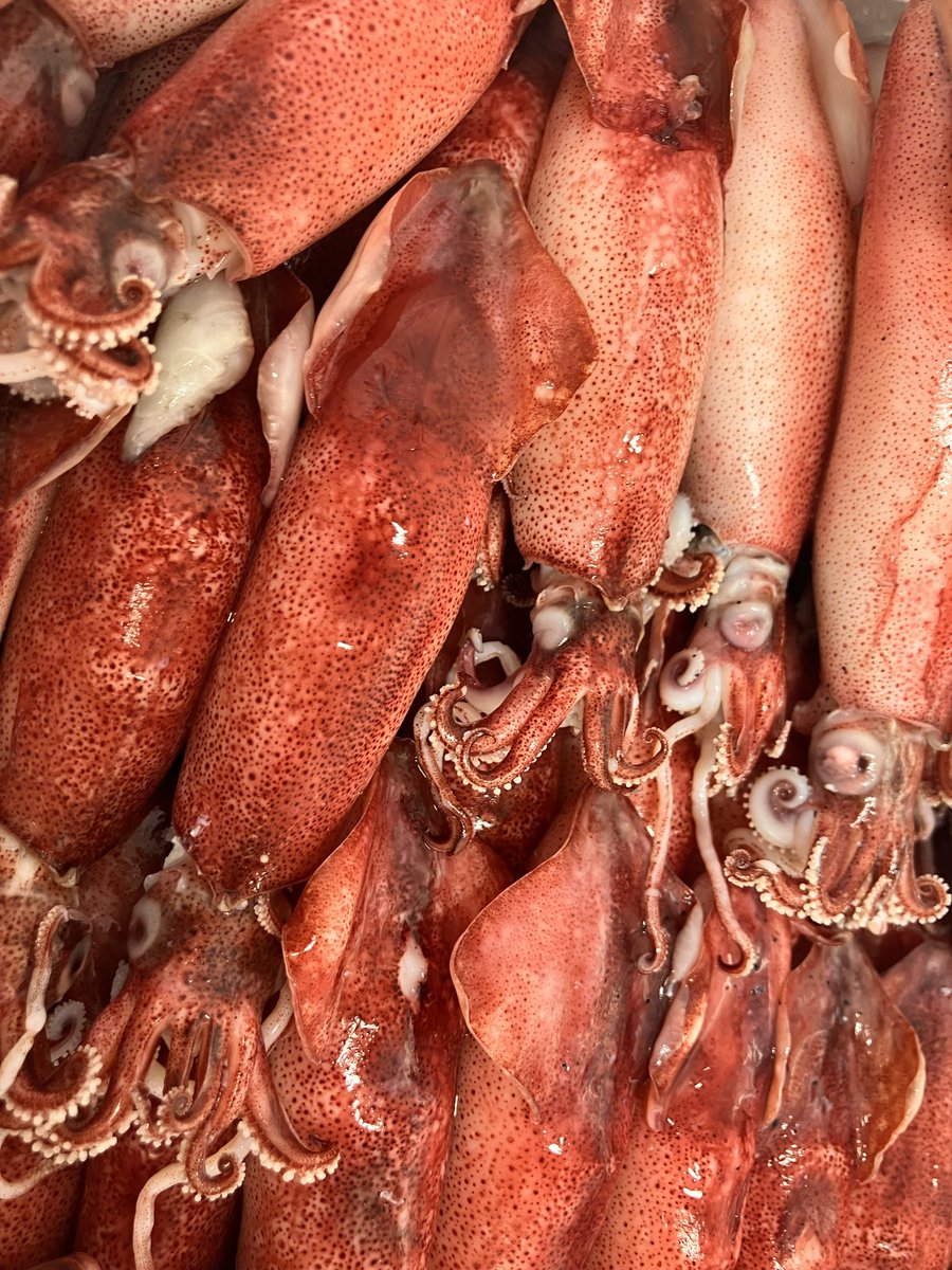 Osashimi0705's tweet photo. 子持ちヤリイカ500g2000円税
絶品・浜茹でボイル槍イカ
🌟朝取れ超特大南蛮海老（甘エビ）
500g2000円税
甘いですね
🌟生食用牡蠣2k2000円税
どっさり。知る人ぞ知る牡蠣
お得なんですよね牡蠣パーティー https://t.co/69JZqKdu8A