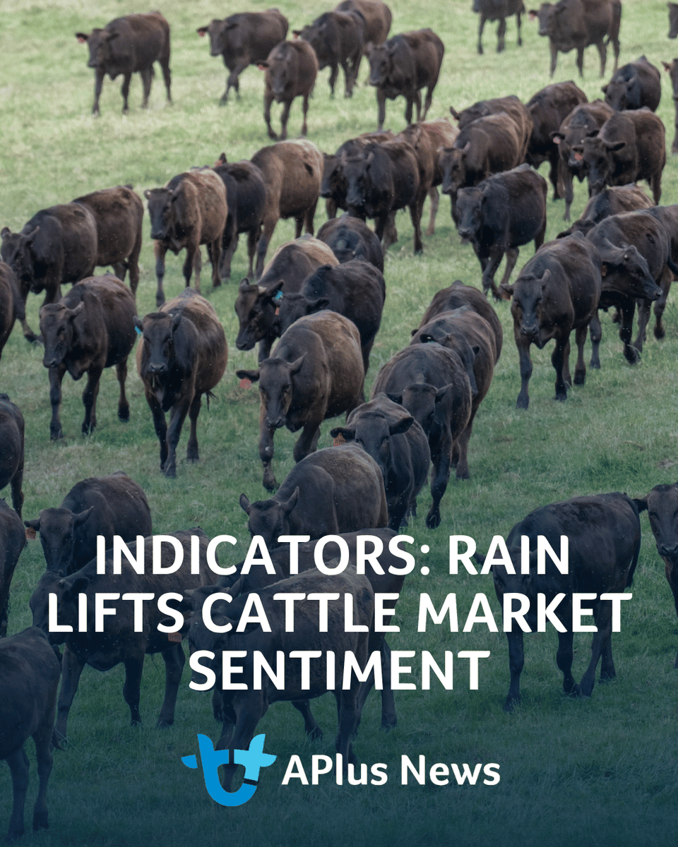 AuctionsPlus's tweet photo. It's that time of the week when we check in on some key livestock market indicators.

READ ARTICLE: https://t.co/PyJJbky7EU https://t.co/8paJemABEP