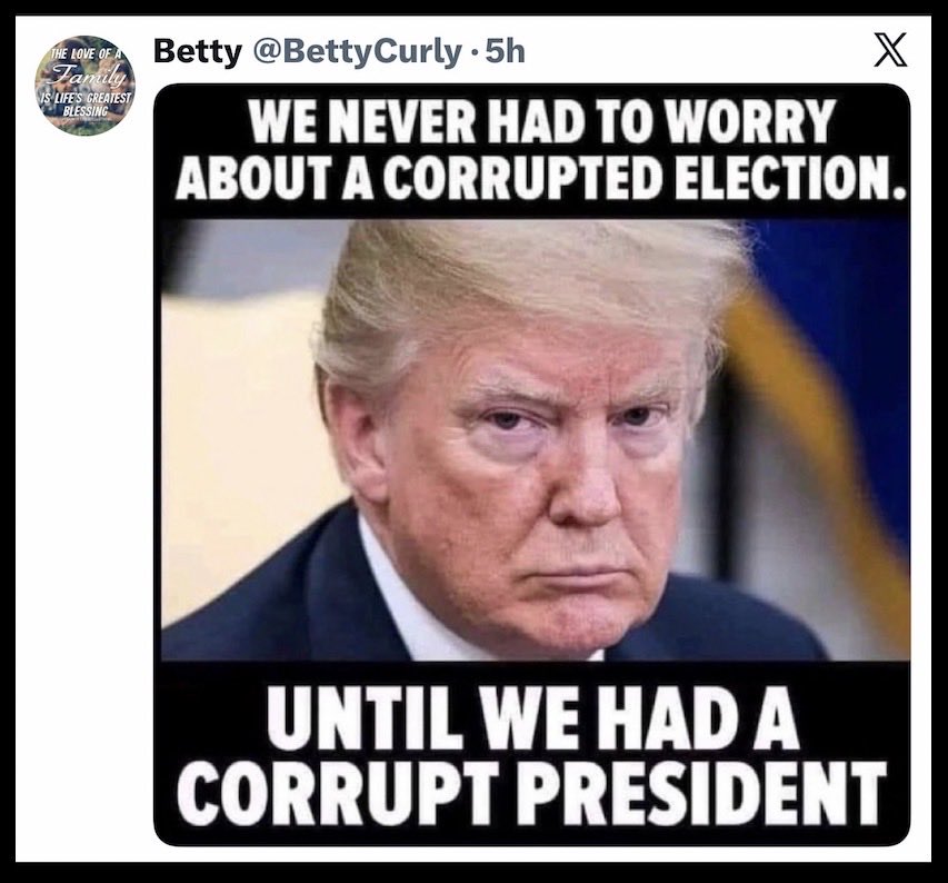 kangaroos991's tweet photo. 👇True! Cr: @BettyCurly #VoteBlue 💙 https://t.co/DePrl9ZmK3