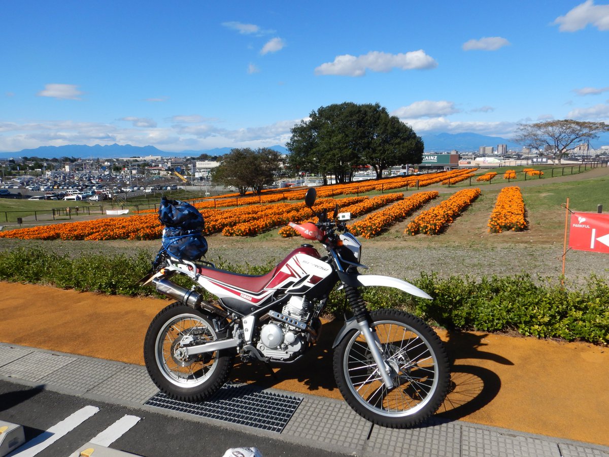 kanegonmugisyu's tweet photo. 秋の #ツーリング にお勧め。

マリーゴールドの丘公園(埼玉県本庄市)

毎年、10月になると、名前の通りでマリーゴールドが最高に美しい。
本庄市のHPによると、「9/30の時点で五分咲き」だそうですから、今後のお出かけにいいでしょうね♪

#バイク乗りと繋がりたい https://t.co/FxJChTxwwD
