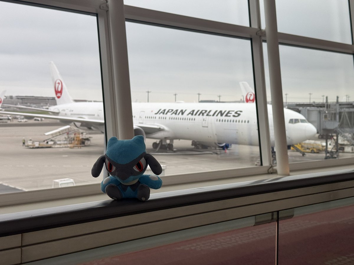 AdvosArt's tweet photo. Day 1: Landed https://t.co/xGMDroDTtM