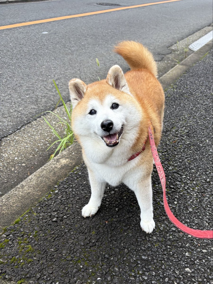 shomaruoneone's tweet photo. 首飾り忘れたらね…
なんか…ﾑｯ…ﾁﾑ…ﾁ……？ https://t.co/Ho6qzFJOhc
