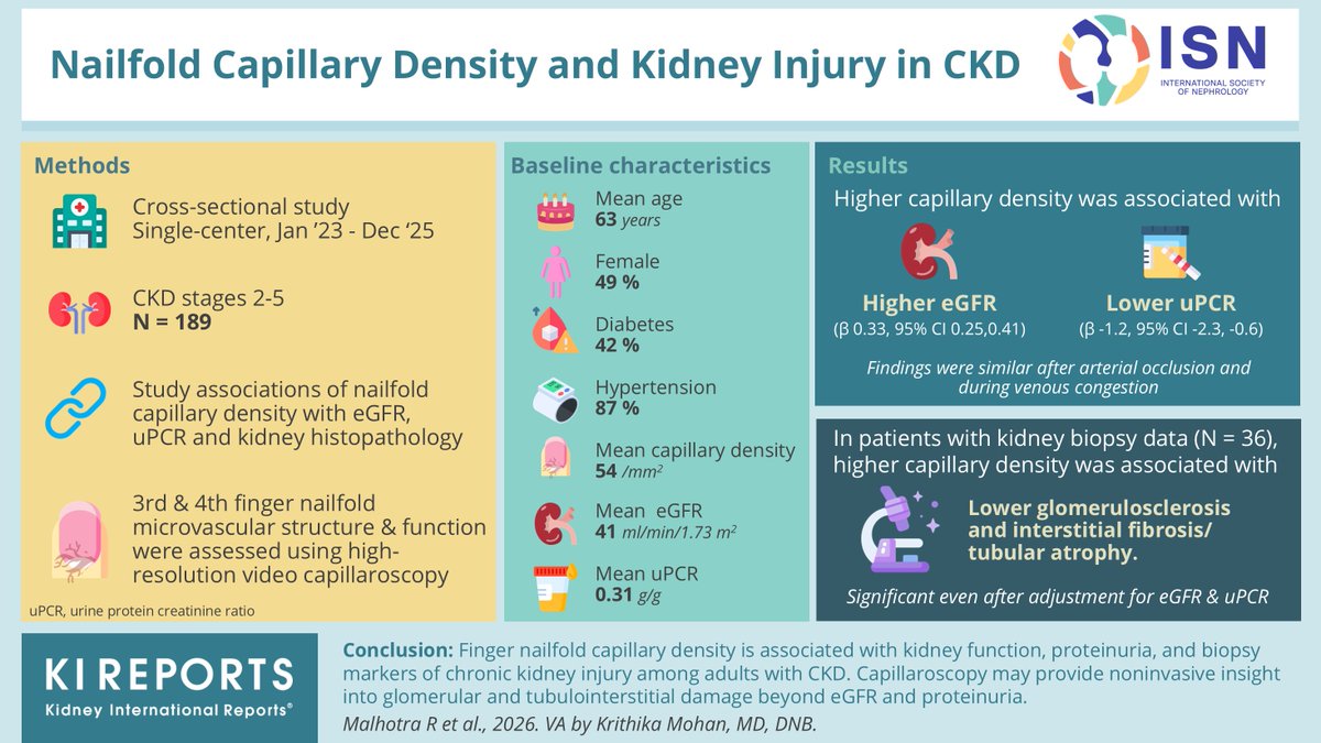 KIReports's tweet photo. #Nailfold #Capillary Density and Kidney #Injury in #CKD

#VisualAbstract by @krithicism

https://t.co/jfoOHeKrzI

@iRakeshMalhotra https://t.co/UxqG3TI1rm