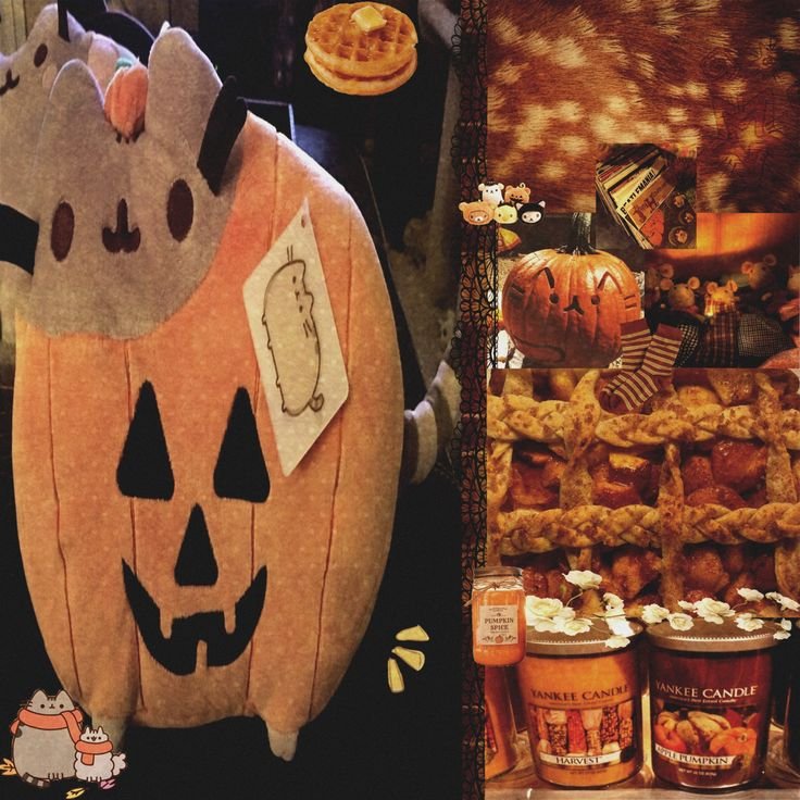 catliver_'s tweet photo. ~◇🎃October accountability thread🌕◇~ 

☆ミGoal: 
Get skinny for trick or treating!! 🍬

🥀 Sw: 104.5lbslbs (47.5kgs)
🕯 Gw: 95lbs (43.1kgs)

○o。. Thread for #edrtwt + myself.。o○ https://t.co/y6n4WOzZs1