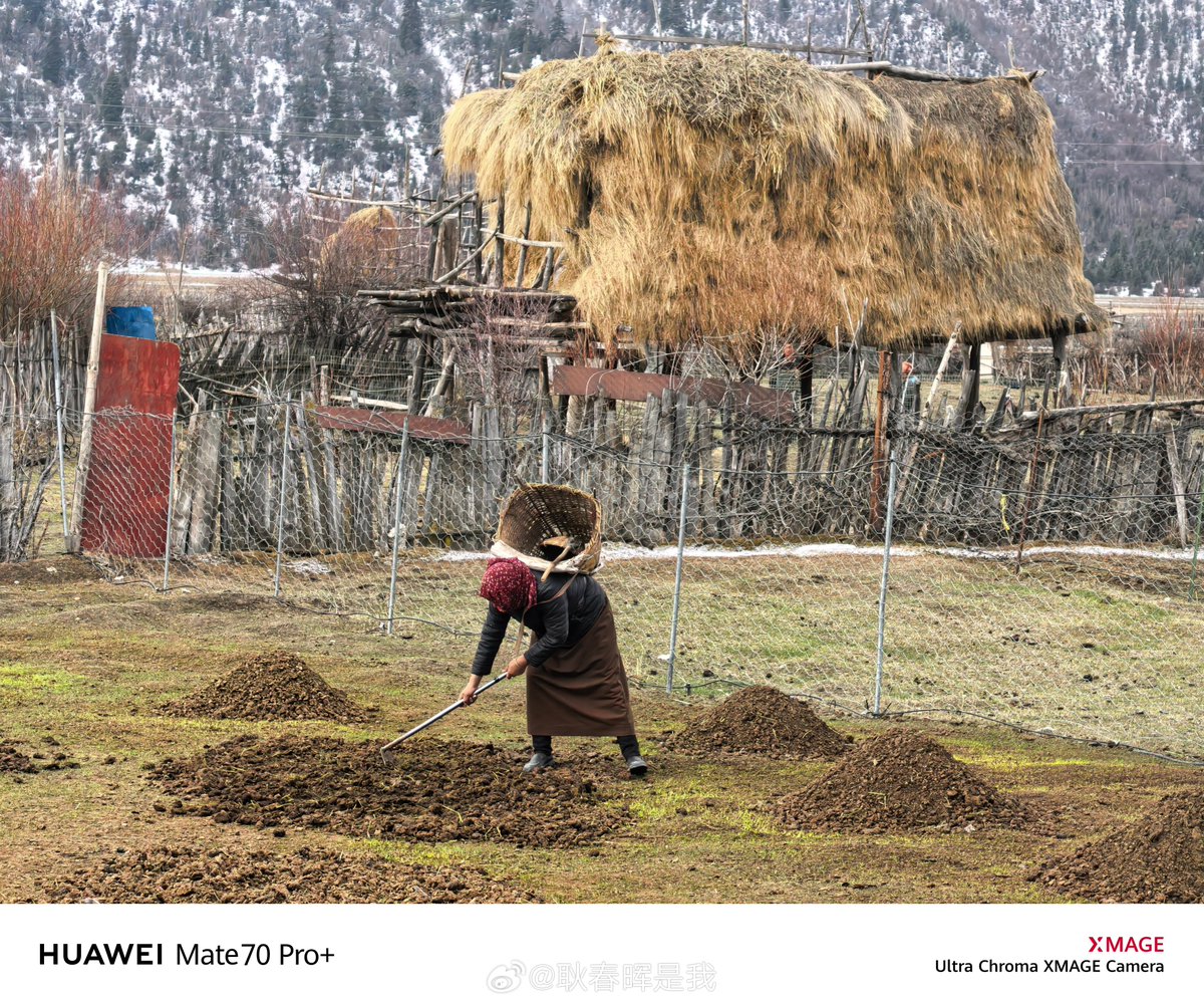 hide15752849's tweet photo. In the brown, dried riverbed, the butcher works with a solemn look. https://t.co/Mj37Mb3zHp